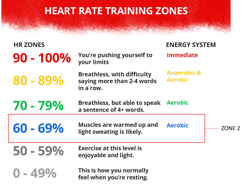 Zone 2 Training And Weight Loss Battle Born Health