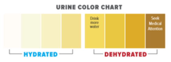 Urine Color Chart